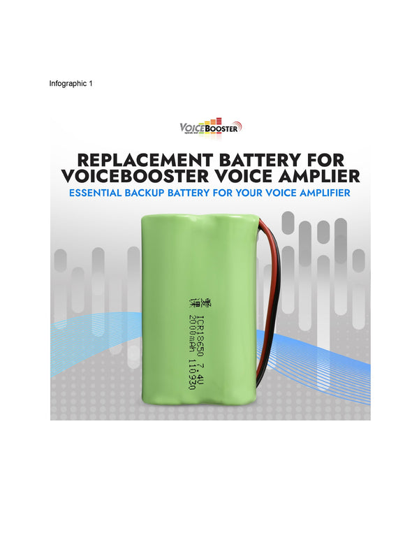 VoiceBooster Large Battery (2000mAh Li)