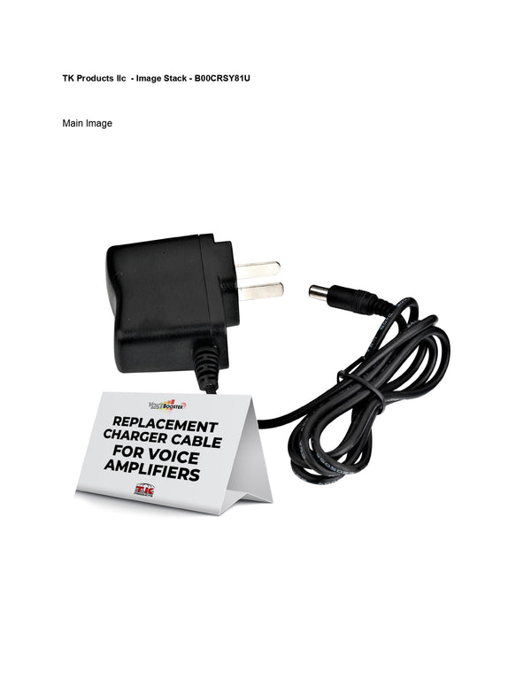 VoiceBooster Charger